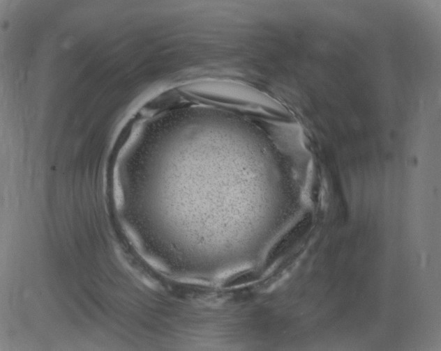 X0000082760148200702092002