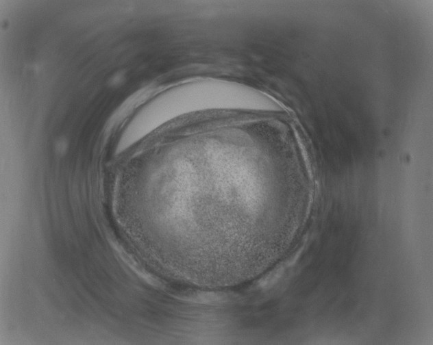 X0000082760149200702092002