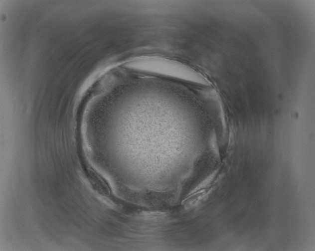 X0000082760150200702092002