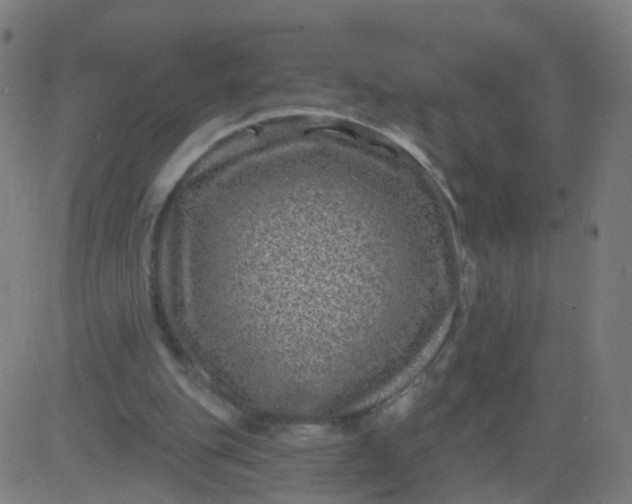 X0000082760151200702092002