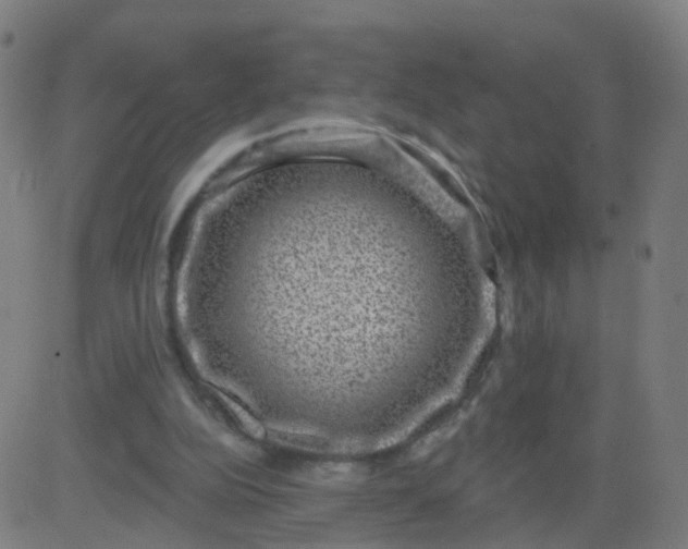 X0000082760152200702092002