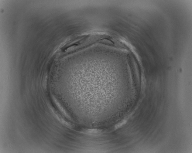 X0000082760153200702092002