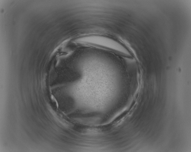 X0000082760154200702092002