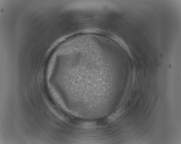 X0000082760155200702092002