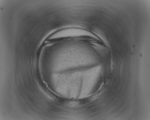 X0000082760156200702092002