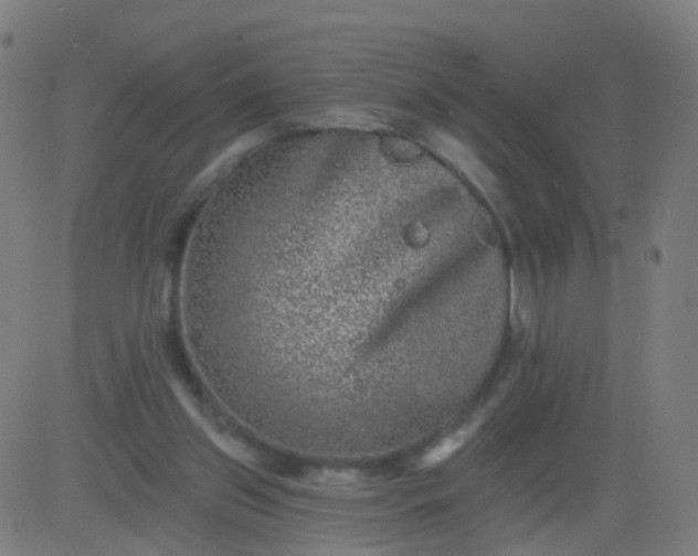 X0000082760157200702092002