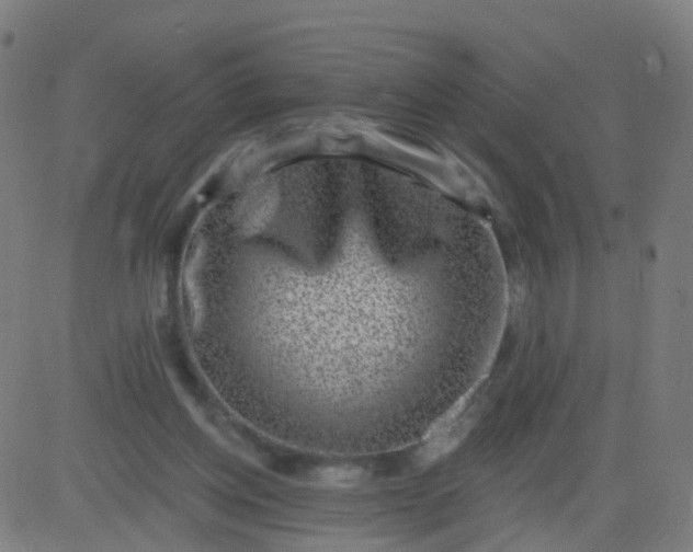 X0000082760158200702092002