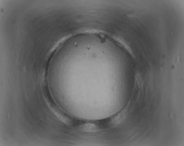 X0000082760159200702092002