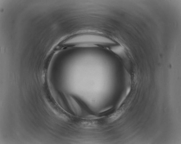 X0000082760160200702092002