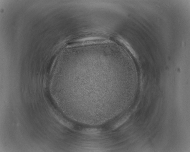 X0000082760161200702092002