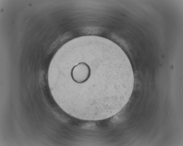 X0000082760162200702092002