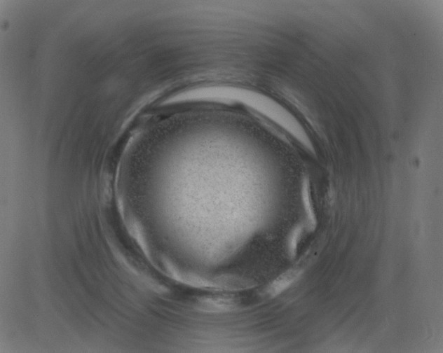 X0000082760164200702092002