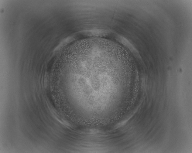 X0000082760165200702092002