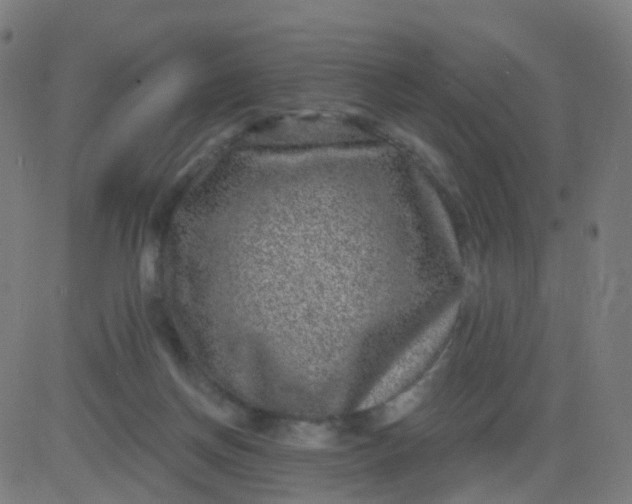 X0000082760166200702092002