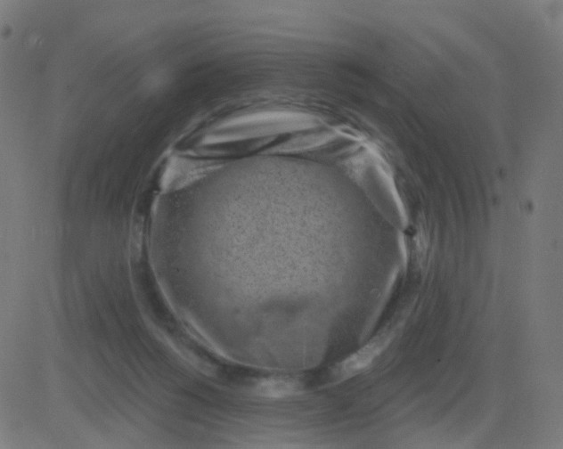 X0000082760168200702092002