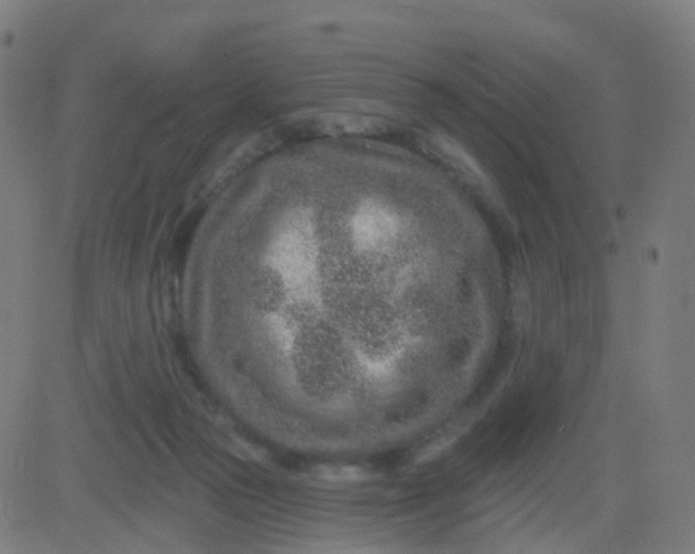 X0000082760169200702092002