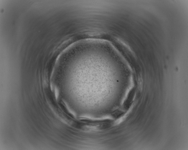 X0000082760170200702092002