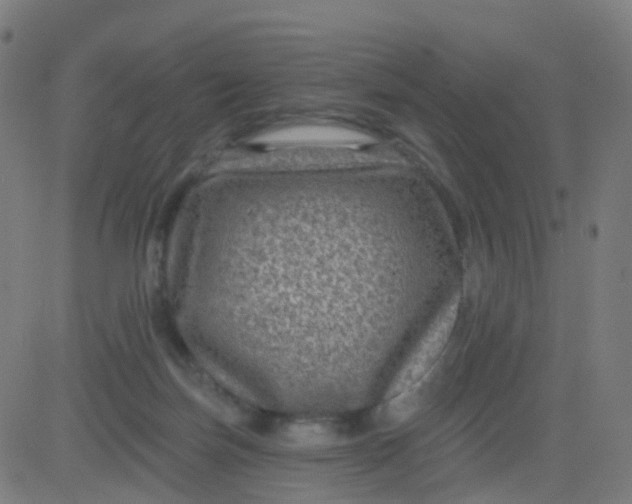 X0000082760171200702092002