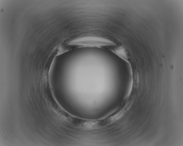 X0000082760172200702092002