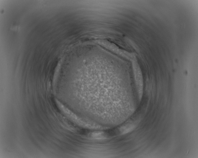 X0000082760173200702092002