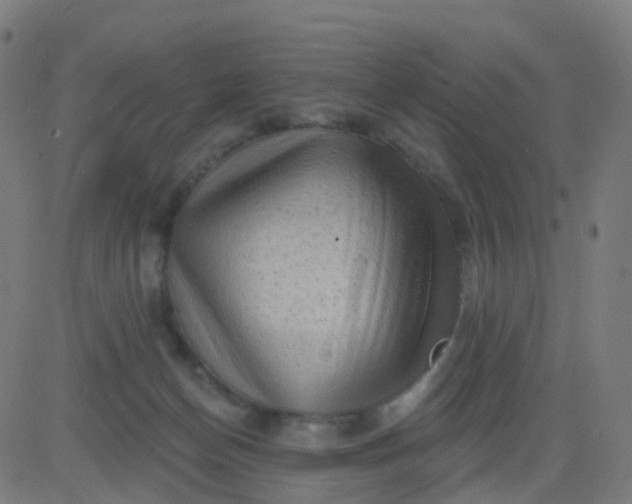 X0000082760174200702092002