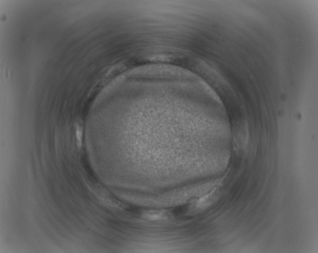 X0000082760175200702092002