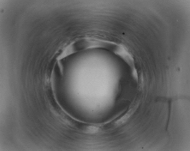 X0000082760176200702092002