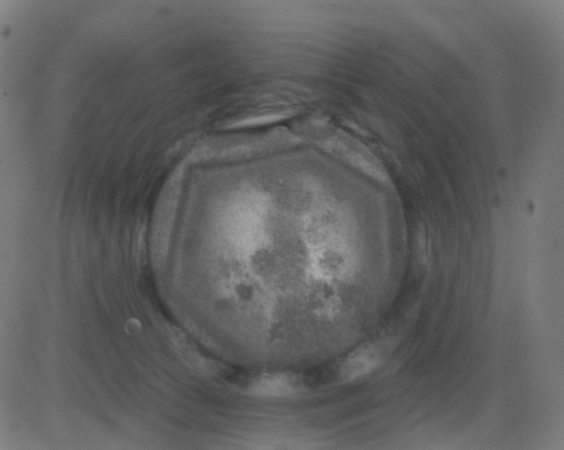 X0000082760177200702092002