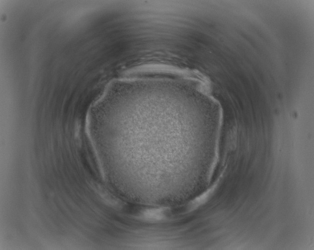 X0000082760178200702092002