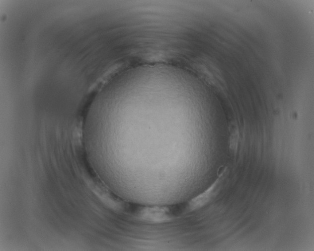 X0000082760179200702092002