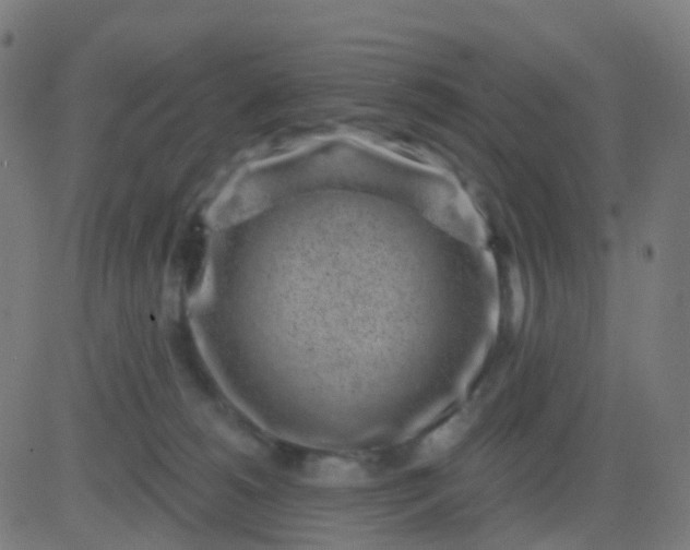 X0000082760180200702092002