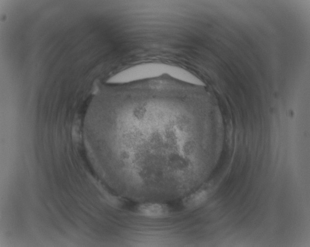 X0000082760181200702092003