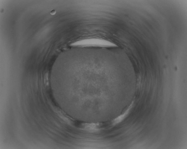 X0000082760182200702092003