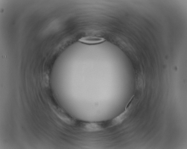 X0000082760183200702092003