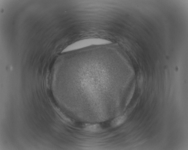 X0000082760185200702092003