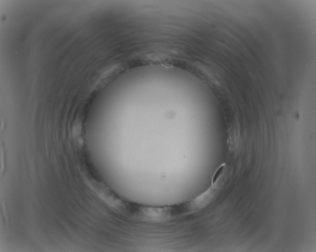 X0000082760187200702092003