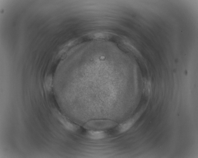 X0000082760189200702092003