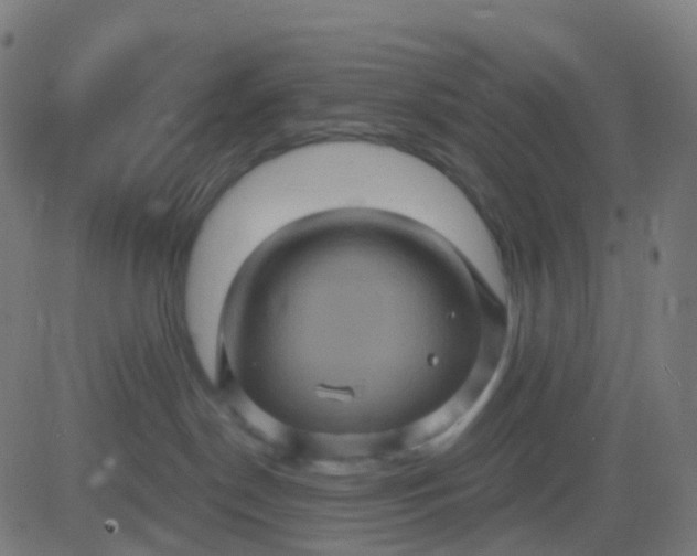 X0000082760190200702092003