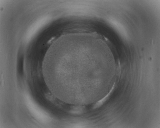 X0000082760191200702092003