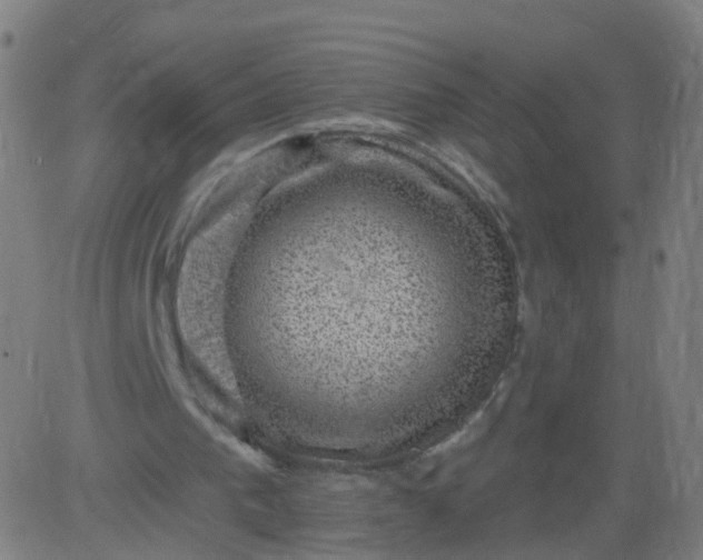 X0000082760193200702092002