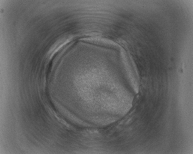 X0000082760194200702092002