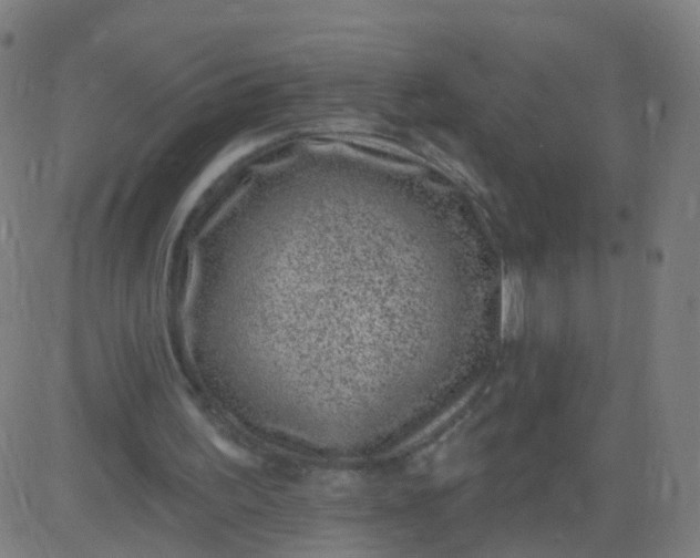 X0000082760195200702092002