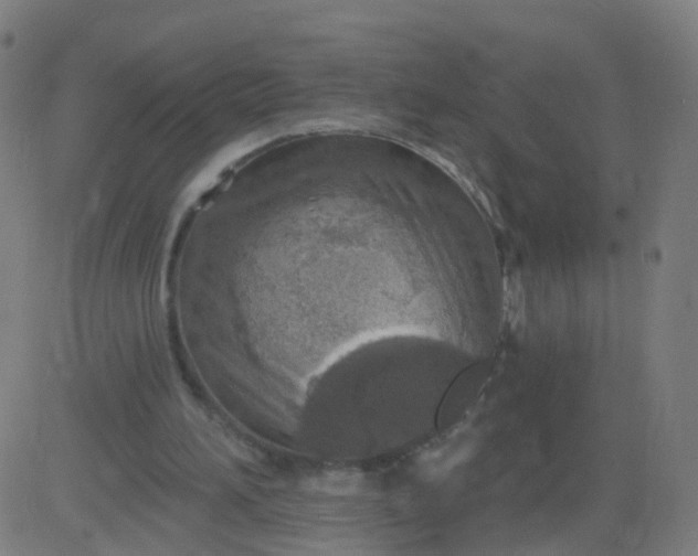 X0000082760196200702092002