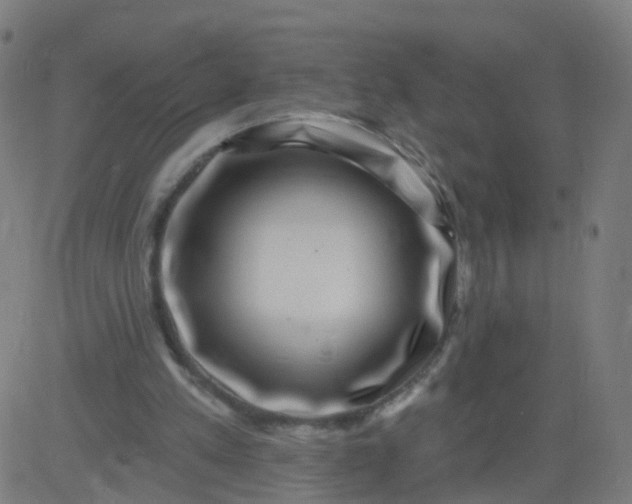 X0000082760197200702092002