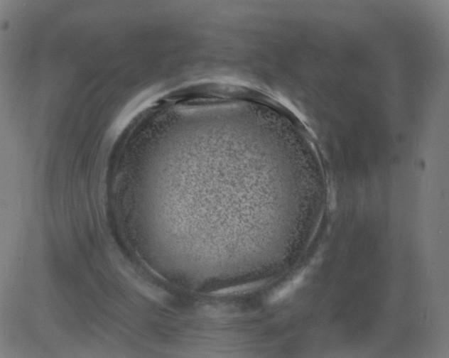 X0000082760199200702092002