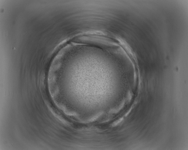 X0000082760201200702092002