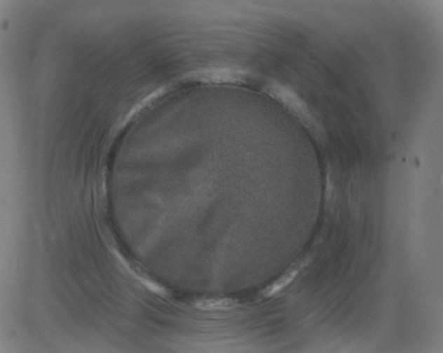 X0000082760202200702092002