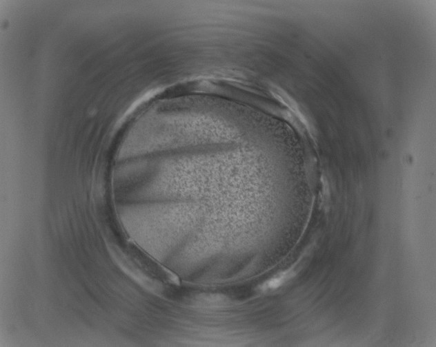 X0000082760203200702092002