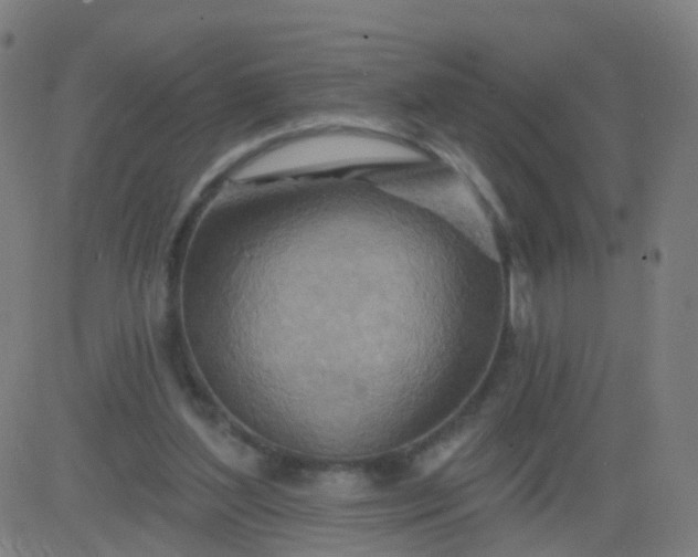 X0000082760204200702092002