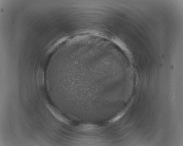 X0000082760205200702092002